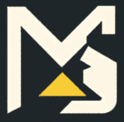 MS Gestão